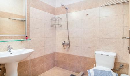 Bathroom with shower and hairdryer